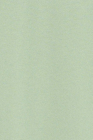 Polo color menta de manga corta y tres botones con logo bordado Rigby Go - Image 7