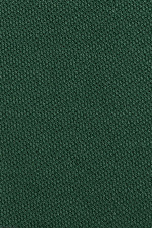 Polo verde botella de manga corta con corte slim y bordado Rigby Go - Image 11