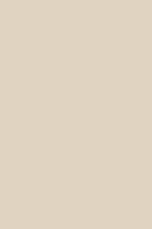 Sandalia beige de tiras Allegra tipo bio con detalle metálico - Image 7