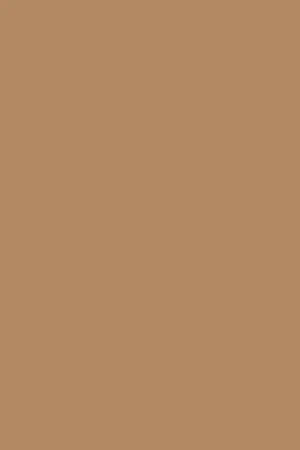 Sandalia bio camel Blake con hebillas - Image 7