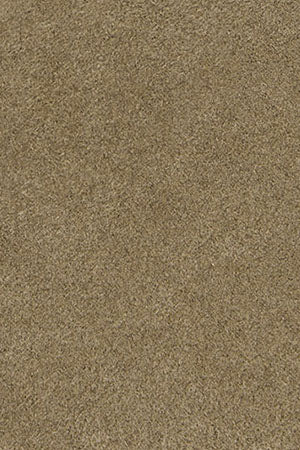 Zueco bio Buck color piedra de serraje con logo Polo Club - Image 10