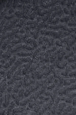 Chancla bio unisex azul marino con doble hebilla Polo Club - Image 6