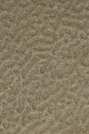 Chancla bio unisex caqui con doble hebilla Polo Club - Image 6