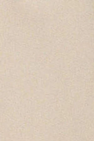 Sudadera de media cremallera beige con logo engomado Polo Club - Image 11