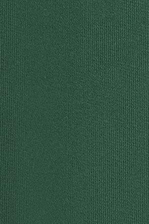 Sudadera verde botella de corte holgado Established 2012 Polo Club - Image 11