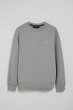 Sudadera gris relax de cuello redondo y bordado Rigby Go - Image 6