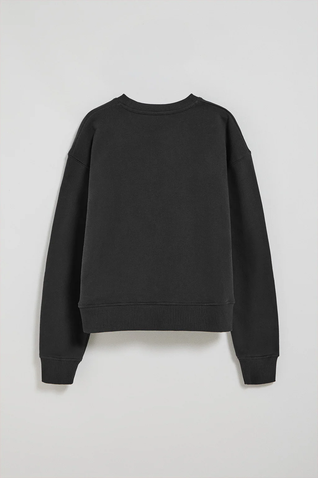 Sudadera de cuello redondo negra con logo bordado Rigby Go - Image 7