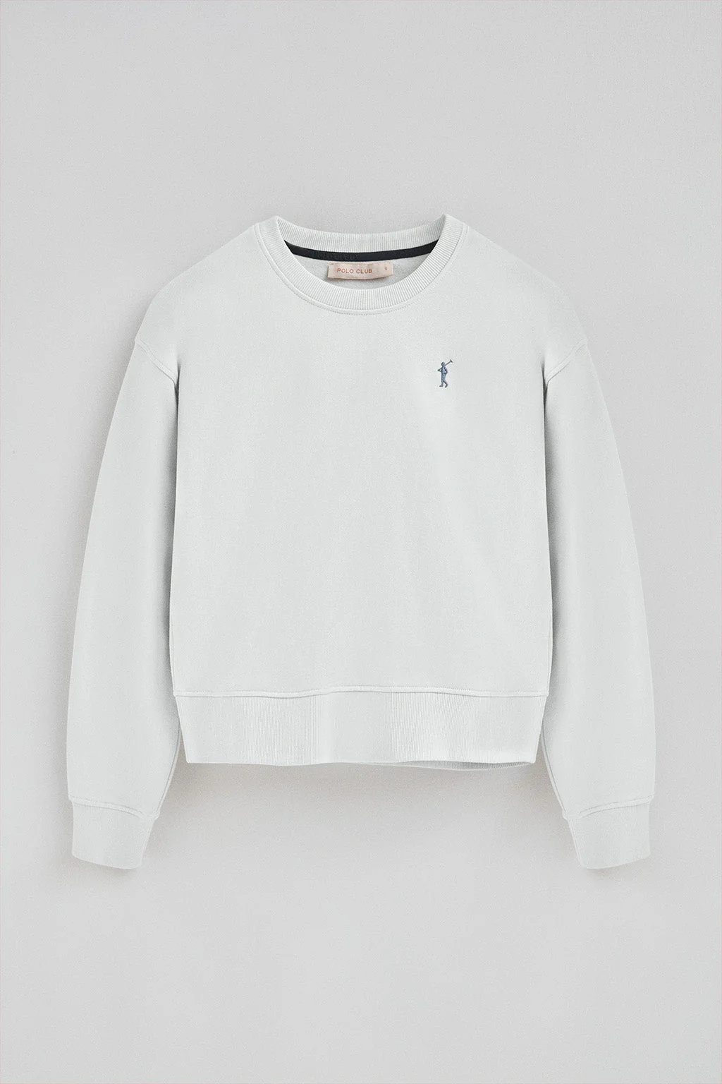 Sudadera color hielo de corte boxy con logo Rigby Go - Image 5