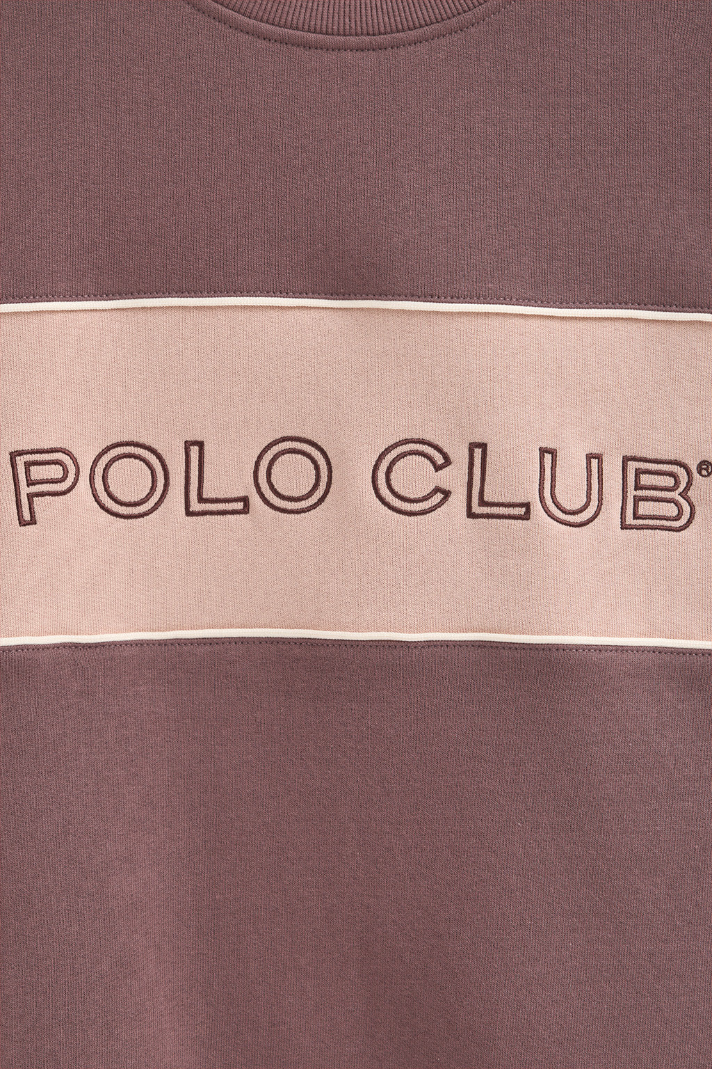 Sudadera rosa taupe de corte boxy y logo Polo Club - Image 8