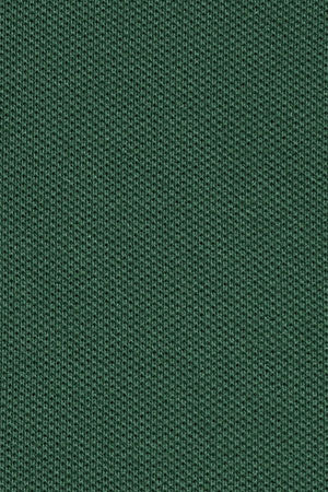 Vestido corto verde botella de manga corta con cuello polo y logo Rigby Go - Image 11