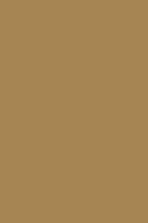 Chancla bio camel para mujer con hebillas - Image 6